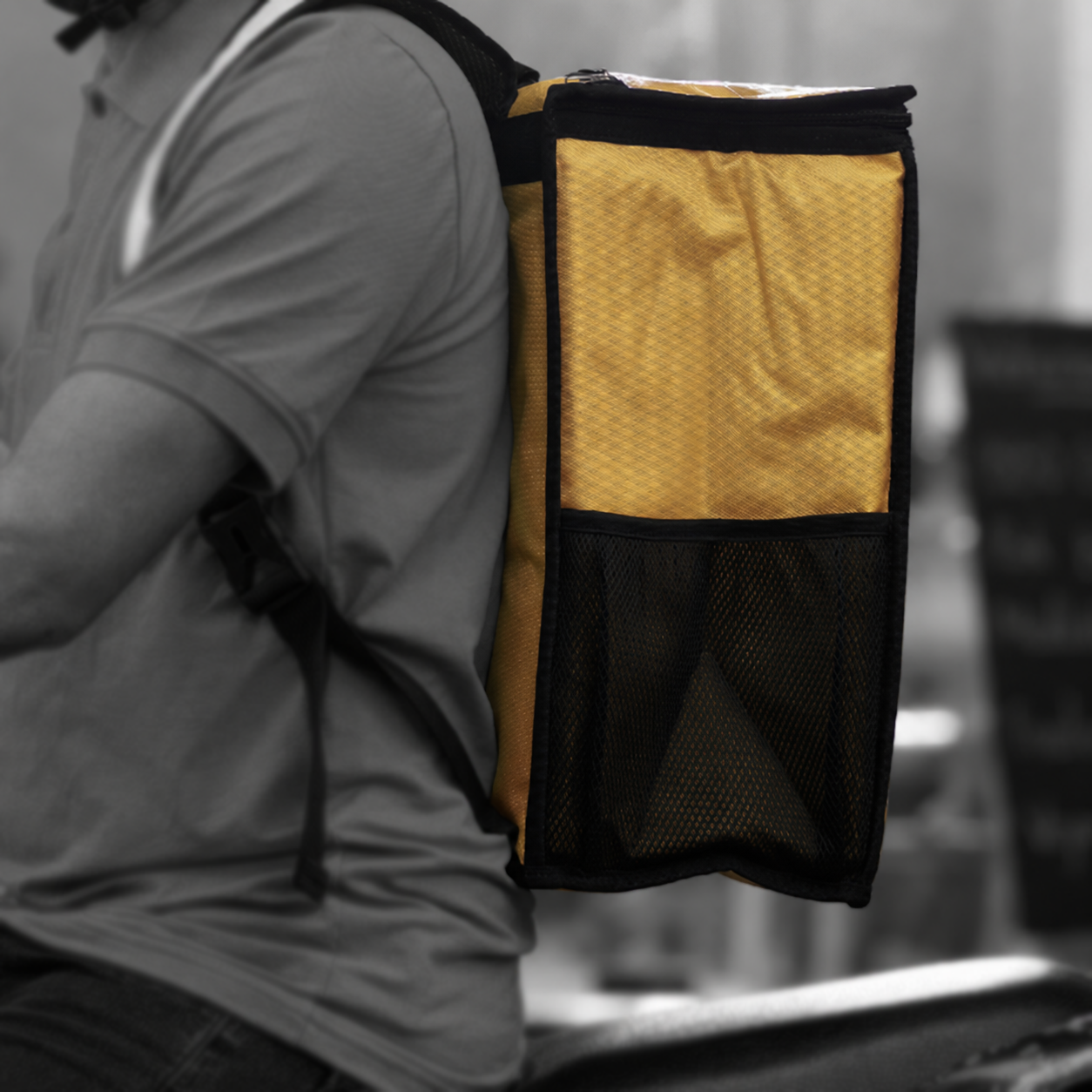 Insulated Bags